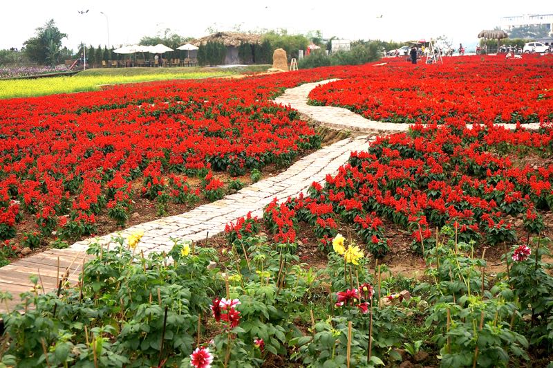 enjoy flower season