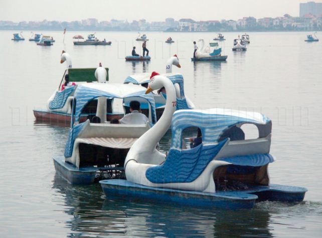 swan paddler